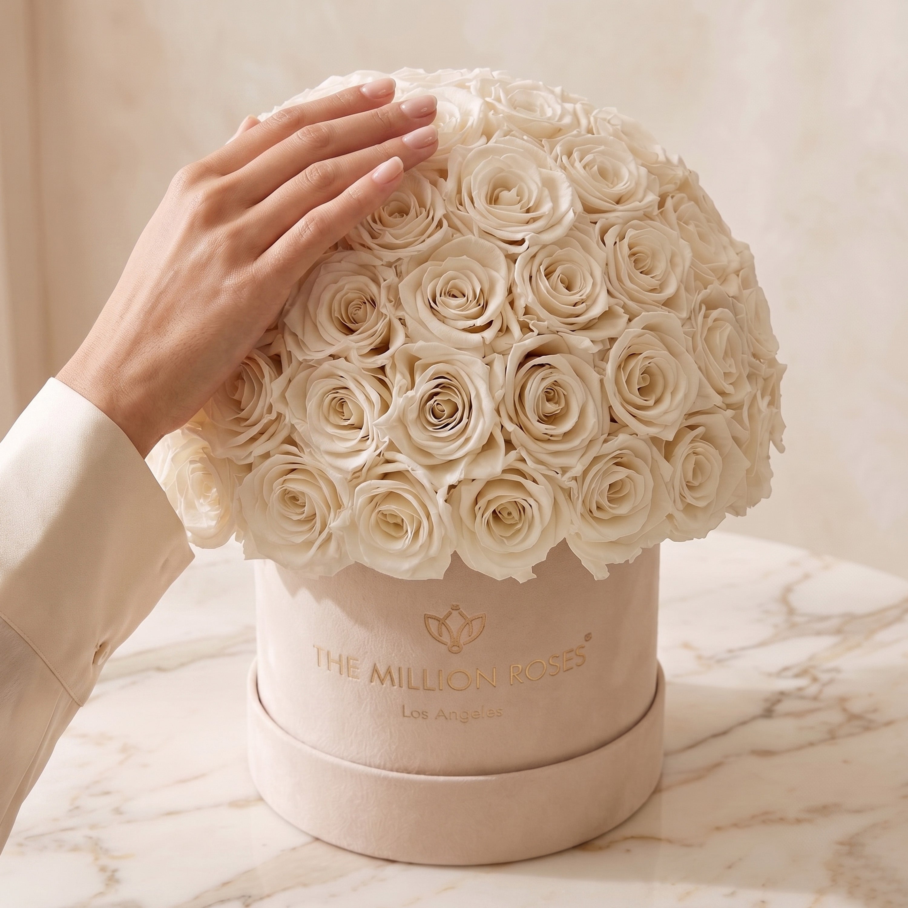 Classic Beige Suede Superdome Box by The Million Roses - product image 4 for Resin Society