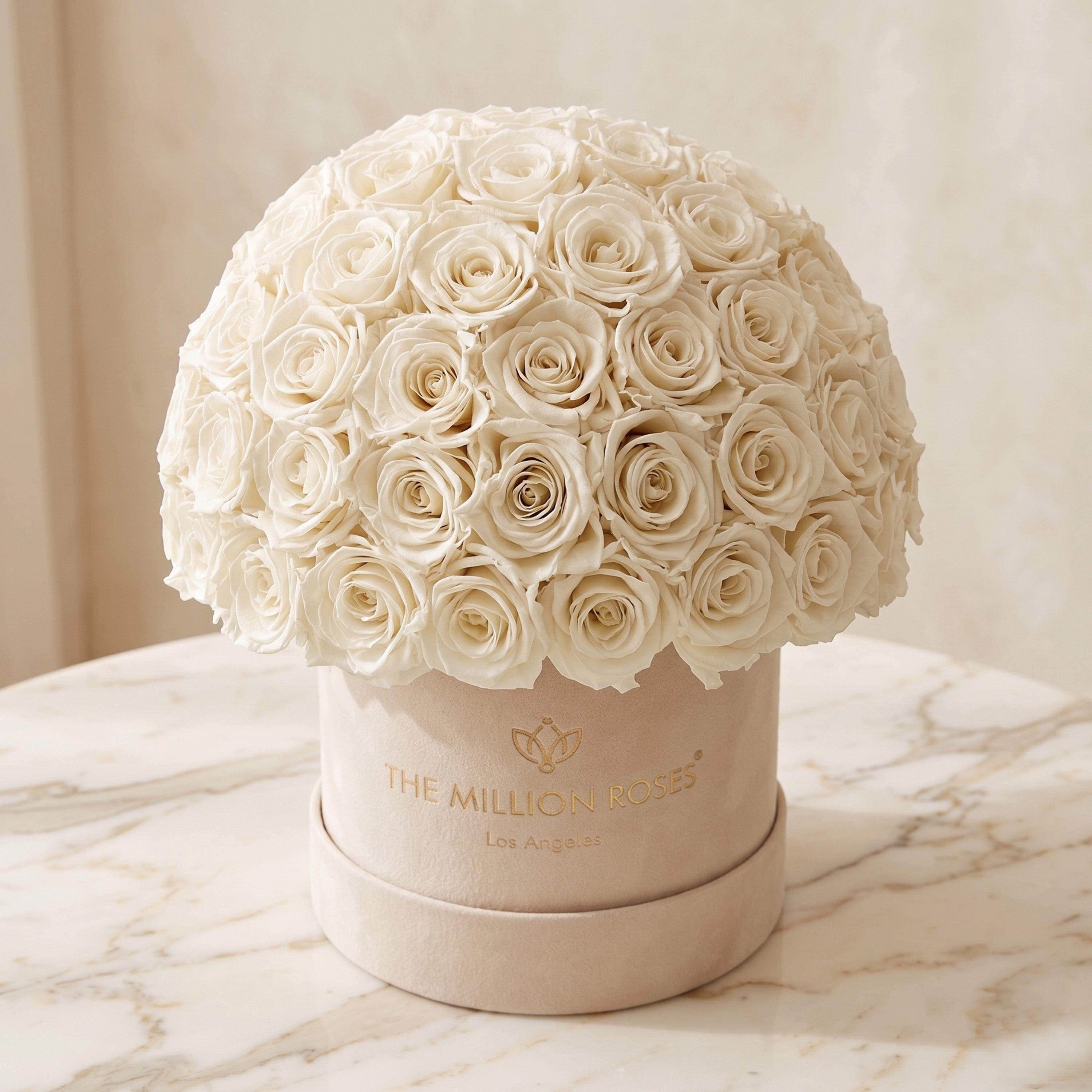 Classic Beige Suede Superdome Box by The Million Roses - product image 2 for Resin Society