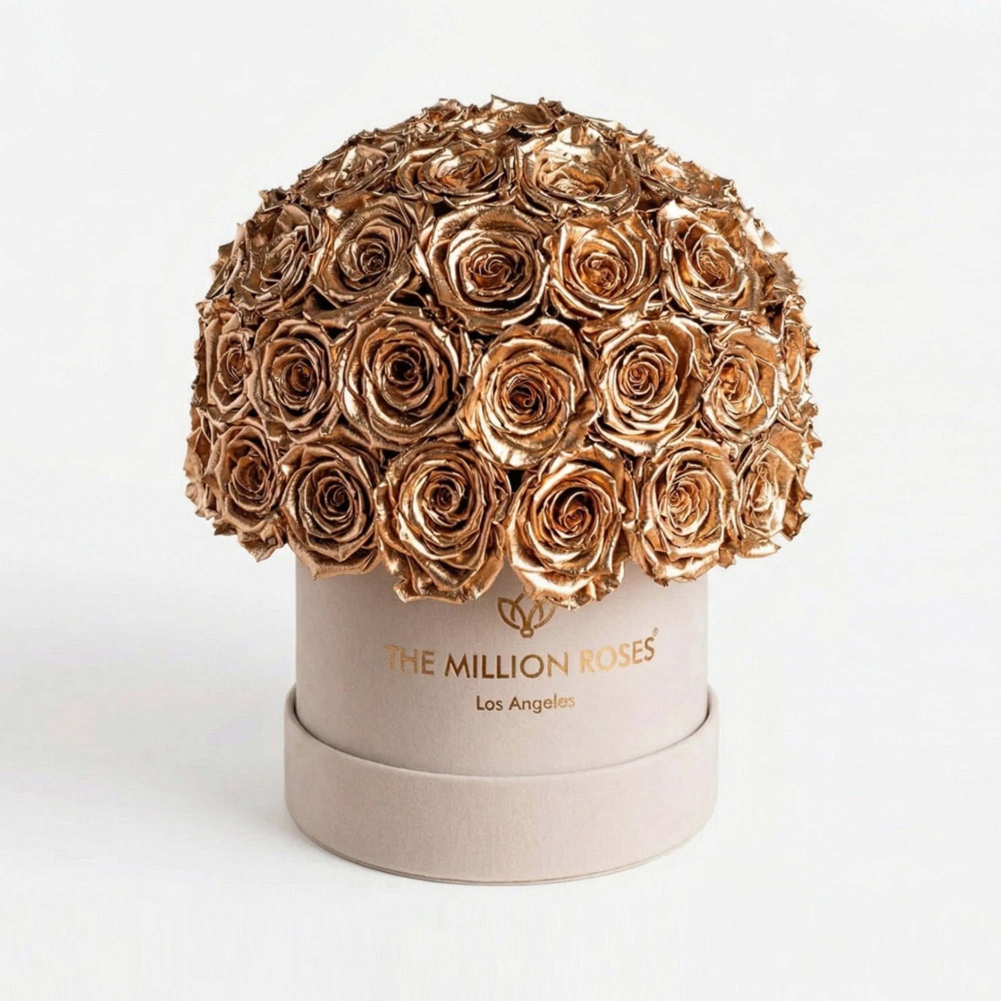 Classic Beige Suede Superdome Box by The Million Roses - main product image for Resin Society