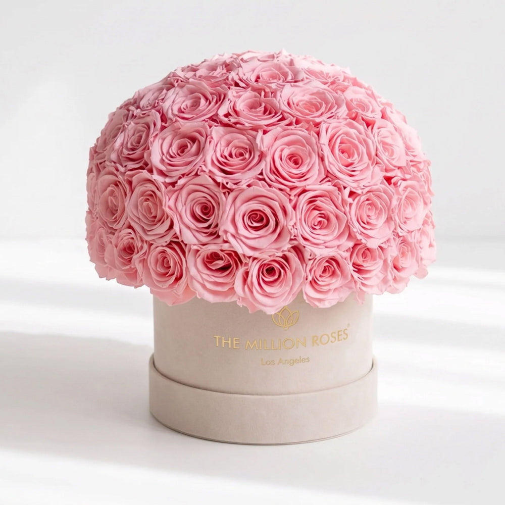 Classic Beige Suede Superdome Box by The Million Roses - main product image for Resin Society