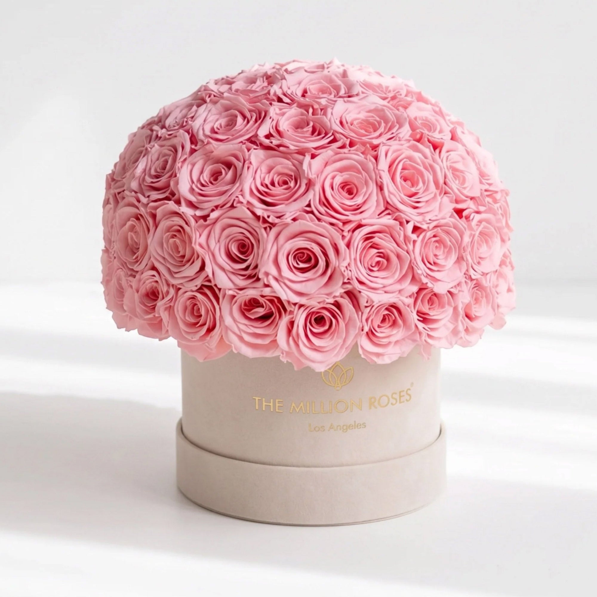 Classic Beige Suede Superdome Box by The Million Roses - main product image for Resin Society