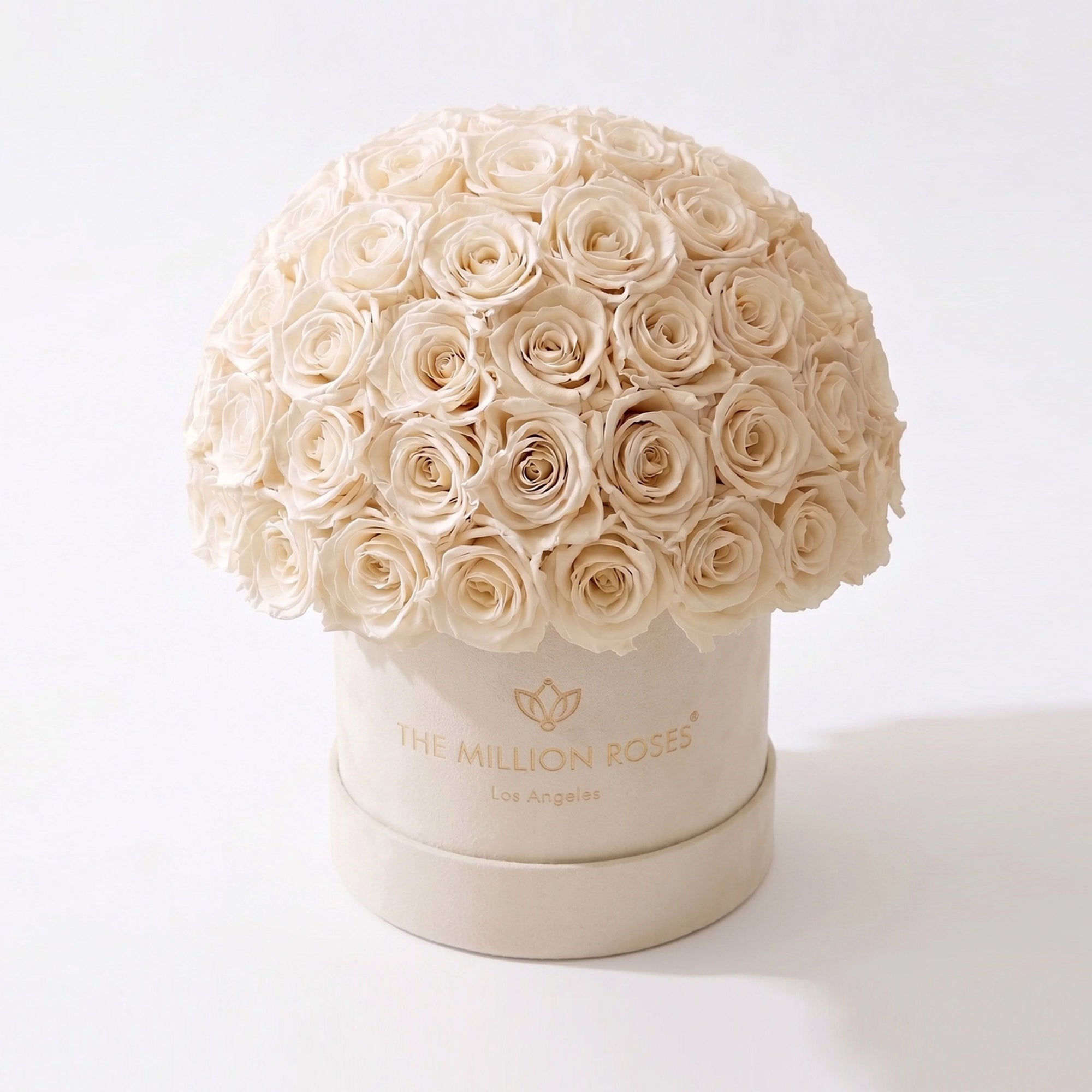 Classic Beige Suede Superdome Box by The Million Roses - main product image for Resin Society
