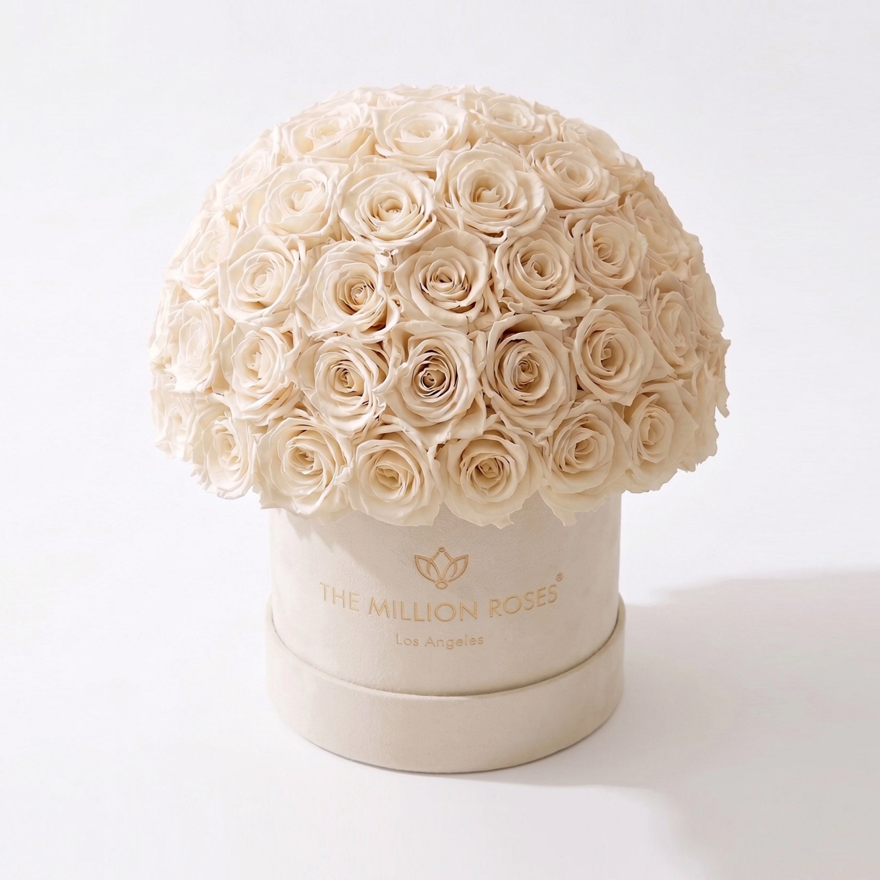 Classic Beige Suede Superdome Box by The Million Roses - main product image for Resin Society