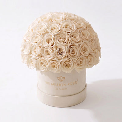 Classic Beige Suede Superdome Box by The Million Roses - main product image for Resin Society