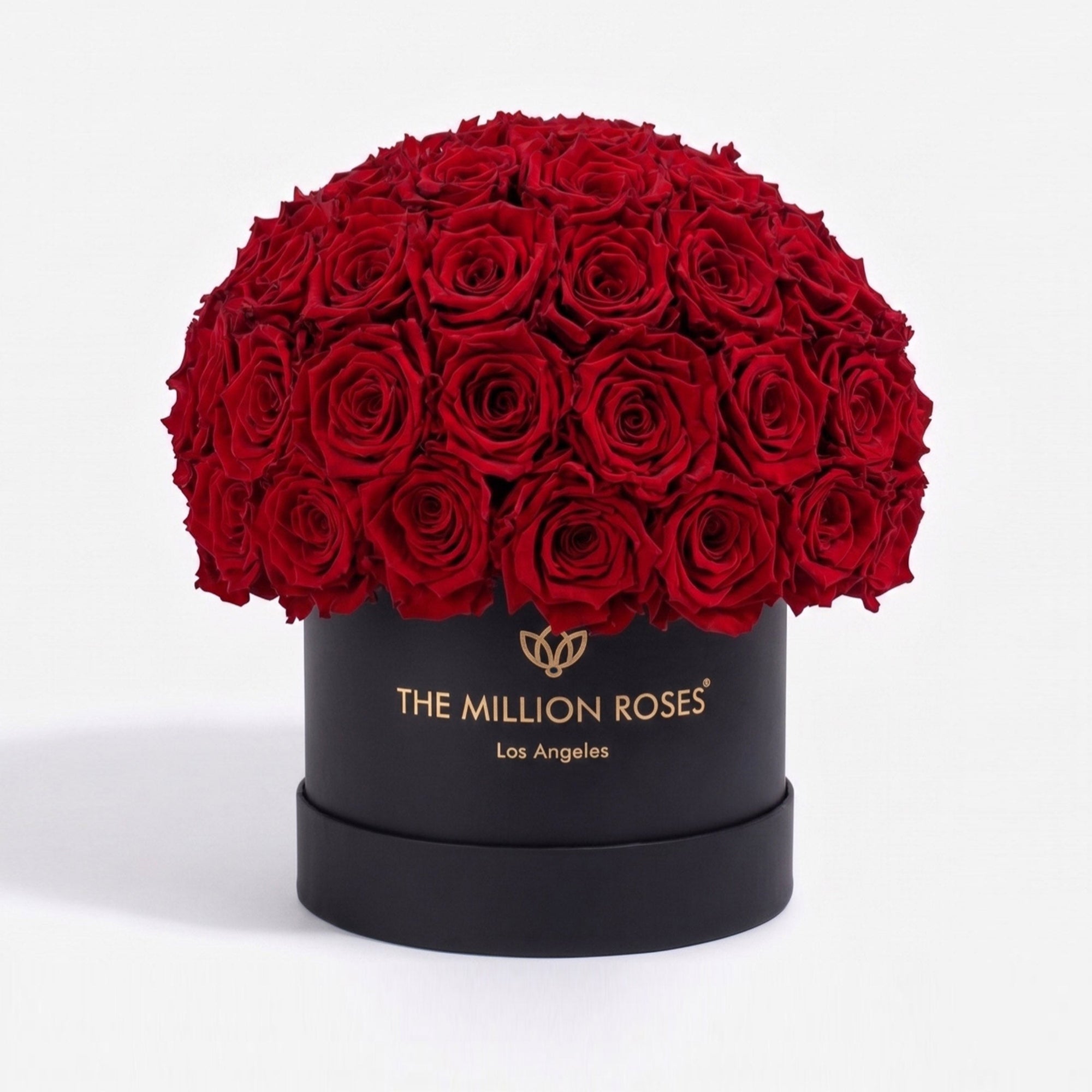 Classic Black Superdome Box by The Million Roses - main product image for Resin Society