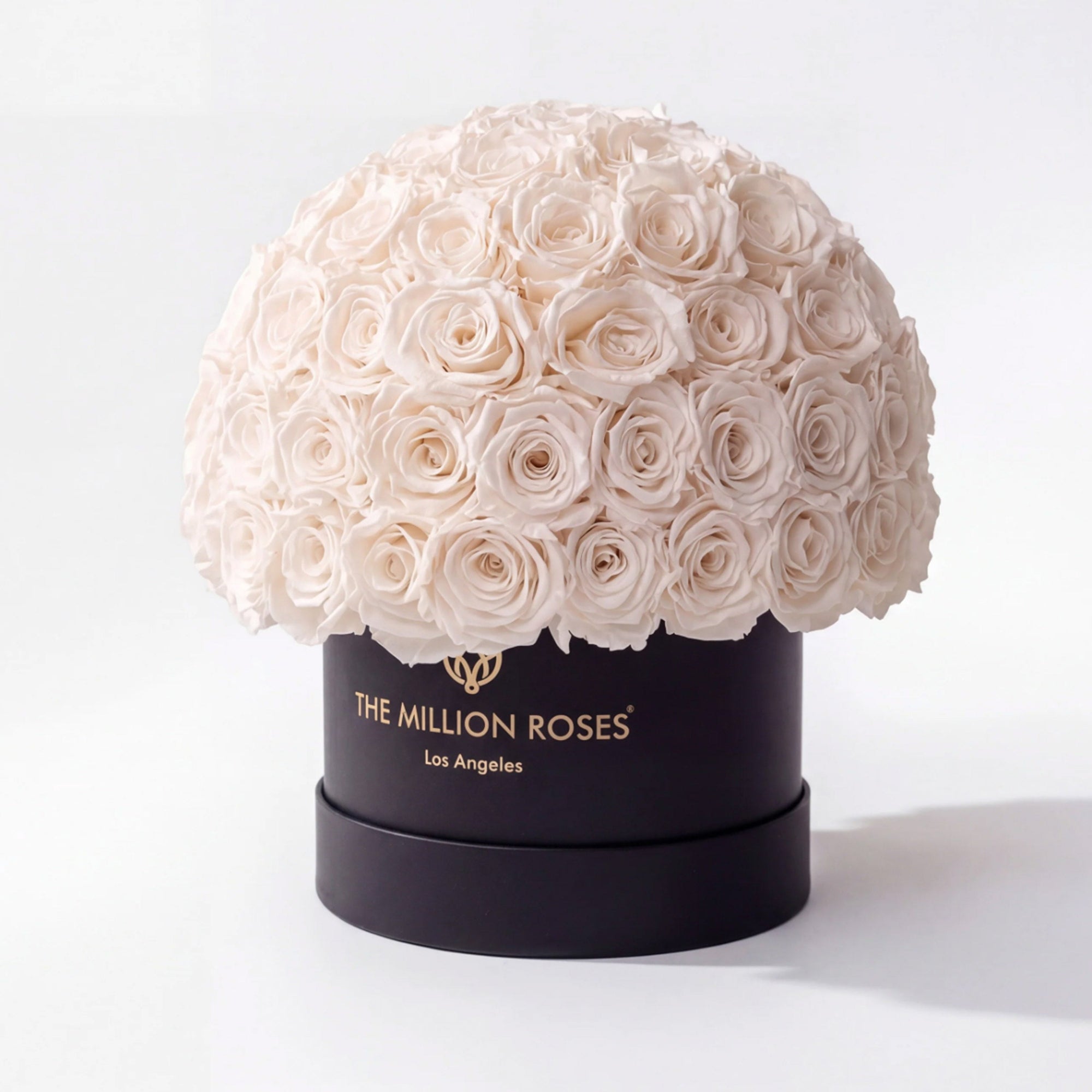 Classic Black Superdome Box by The Million Roses - main product image for Resin Society