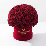 Classic Bordeaux Suede Superdome Box by The Million Roses - main product image for Resin Society