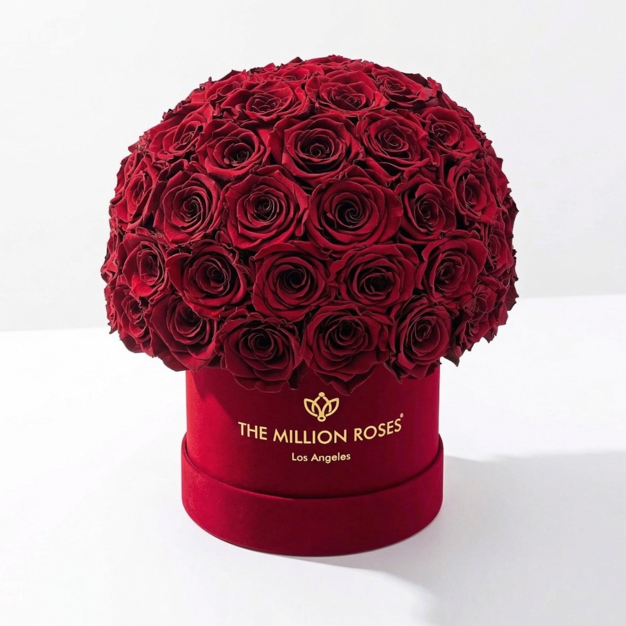 Classic Bordeaux Suede Superdome Box by The Million Roses - main product image for Resin Society