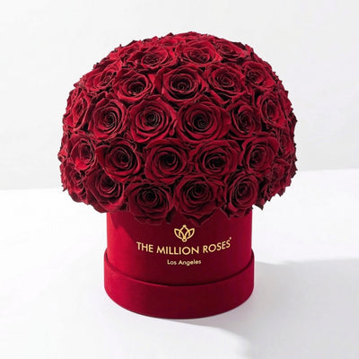 Classic Bordeaux Suede Superdome Box by The Million Roses - main product image for Resin Society