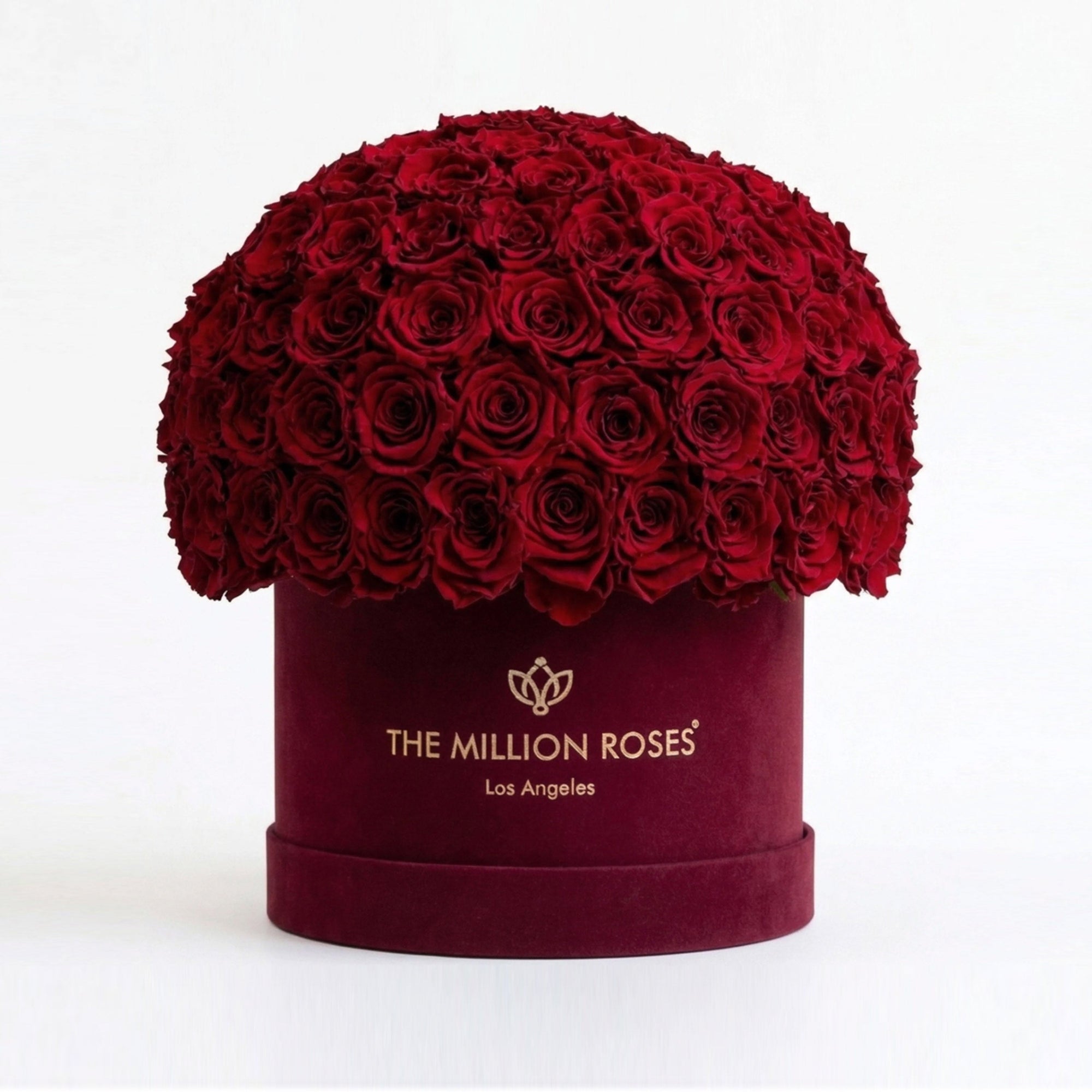Classic Bordeaux Suede Superdome Box by The Million Roses - main product image for Resin Society