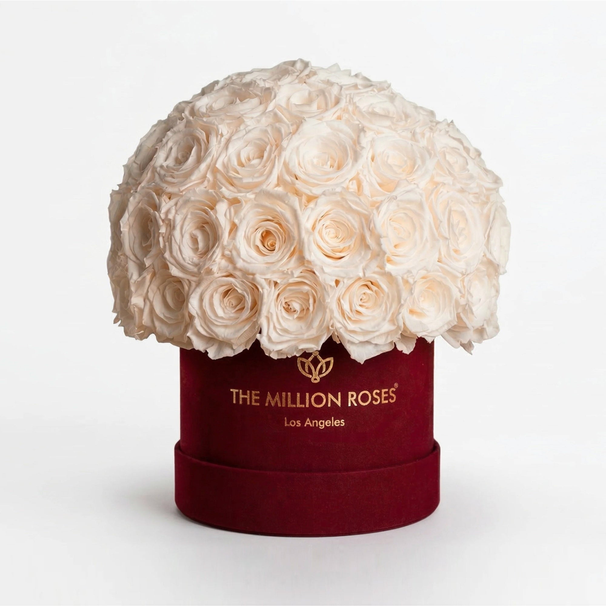 Classic Bordeaux Suede Superdome Box by The Million Roses - main product image for Resin Society