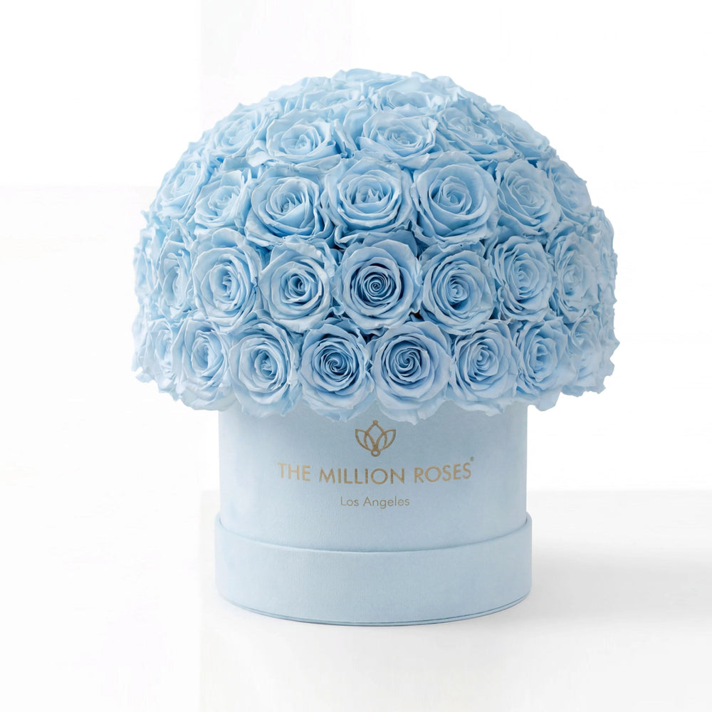 Classic Light Blue Suede Superdome Box by The Million Roses - main product image for Resin Society