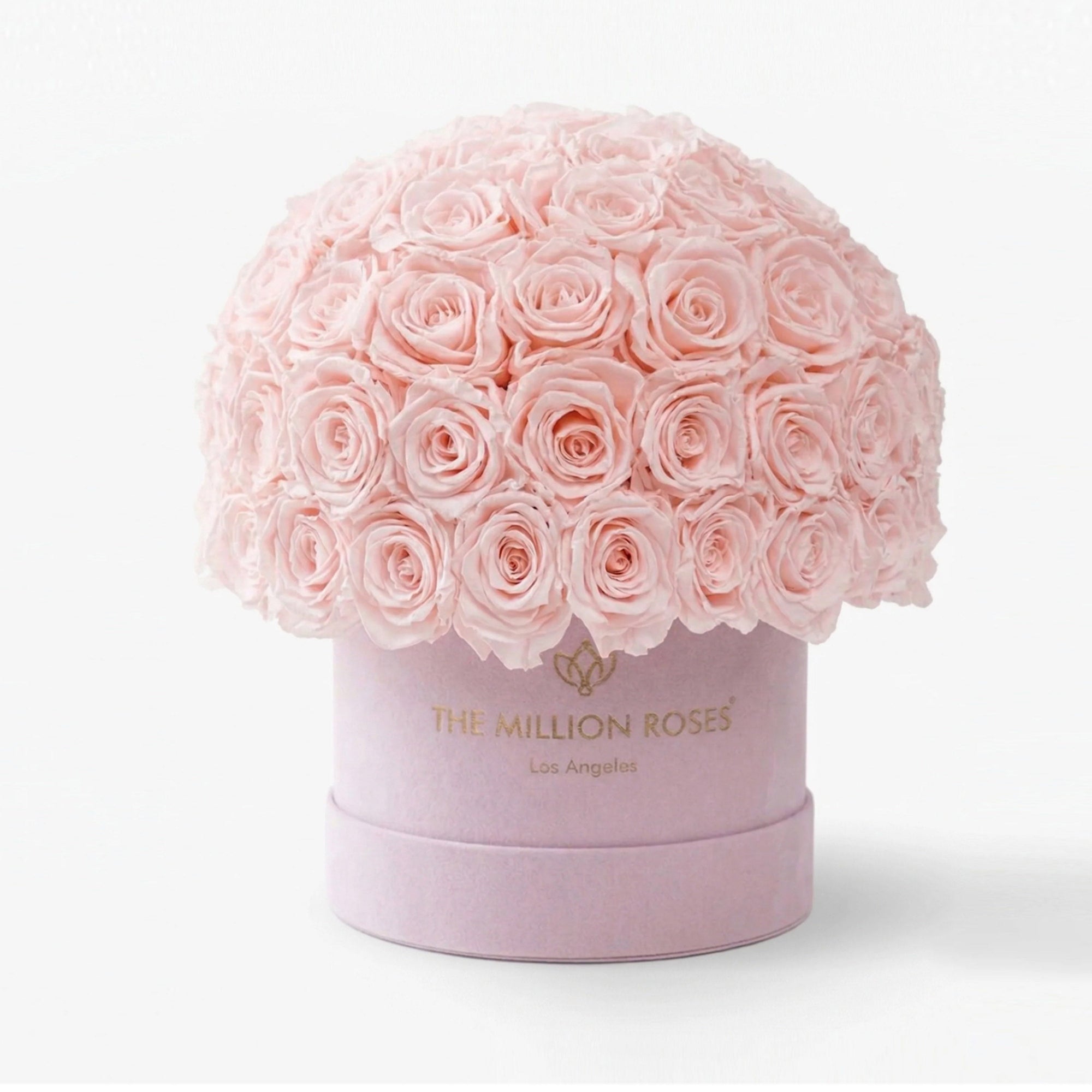 Classic Light Pink Suede Superdome Box by The Million Roses - main product image for Resin Society