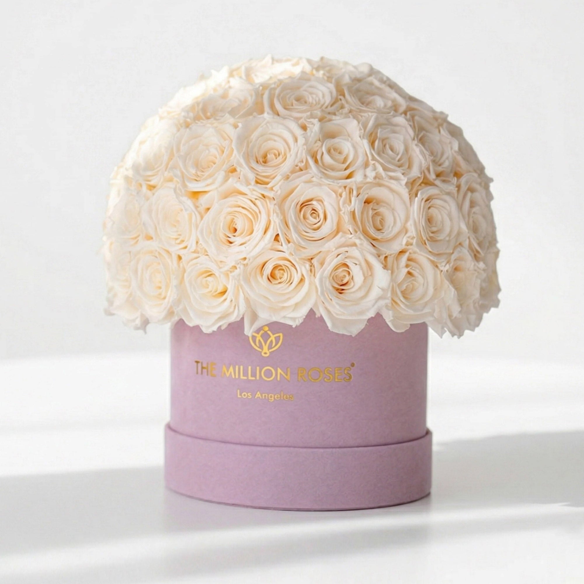 Classic Light Pink Suede Superdome Box by The Million Roses - main product image for Resin Society