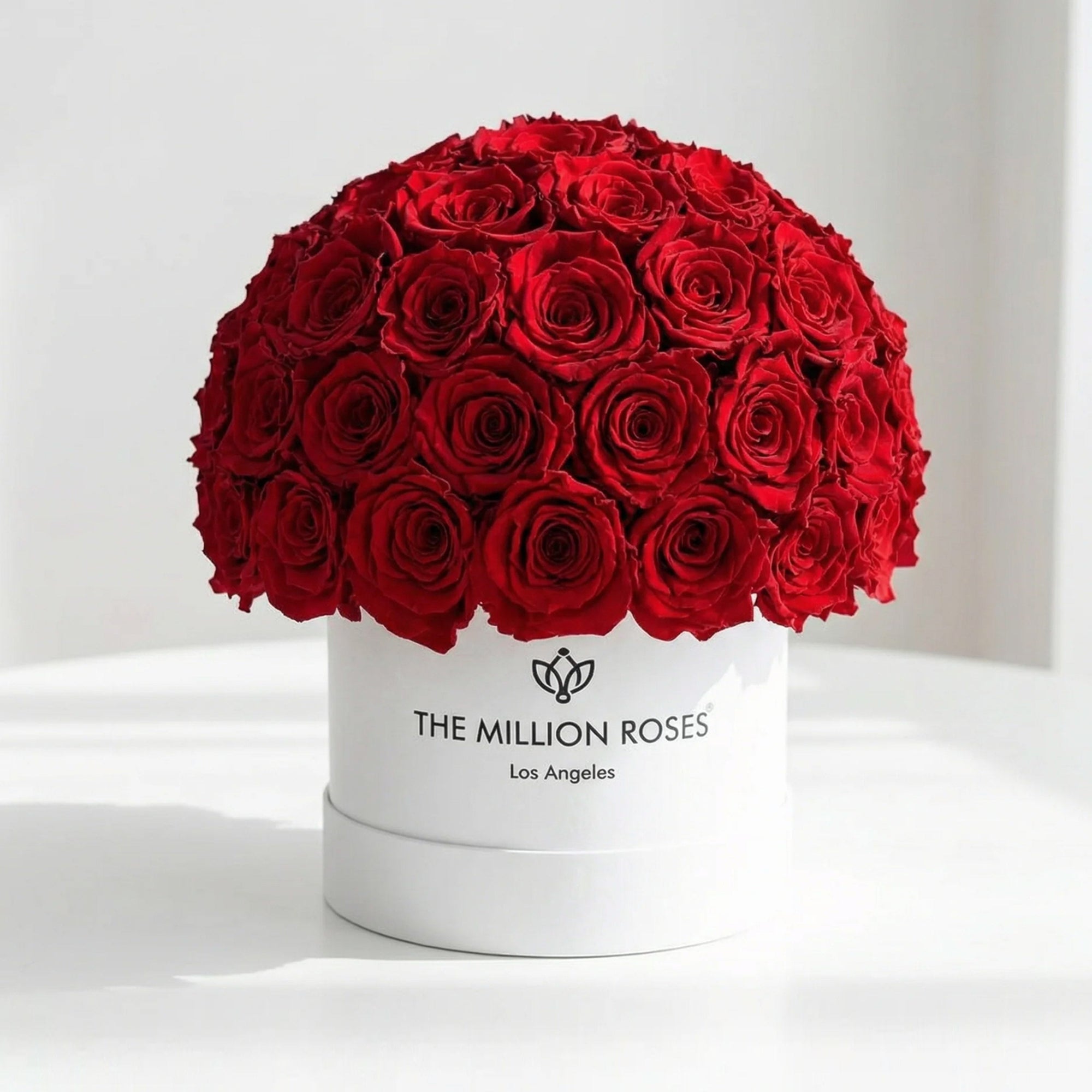Classic White Superdome Box by The Million Roses - main product image for Resin Society