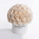 Classic White Superdome Box by The Million Roses - main product image for Resin Society
