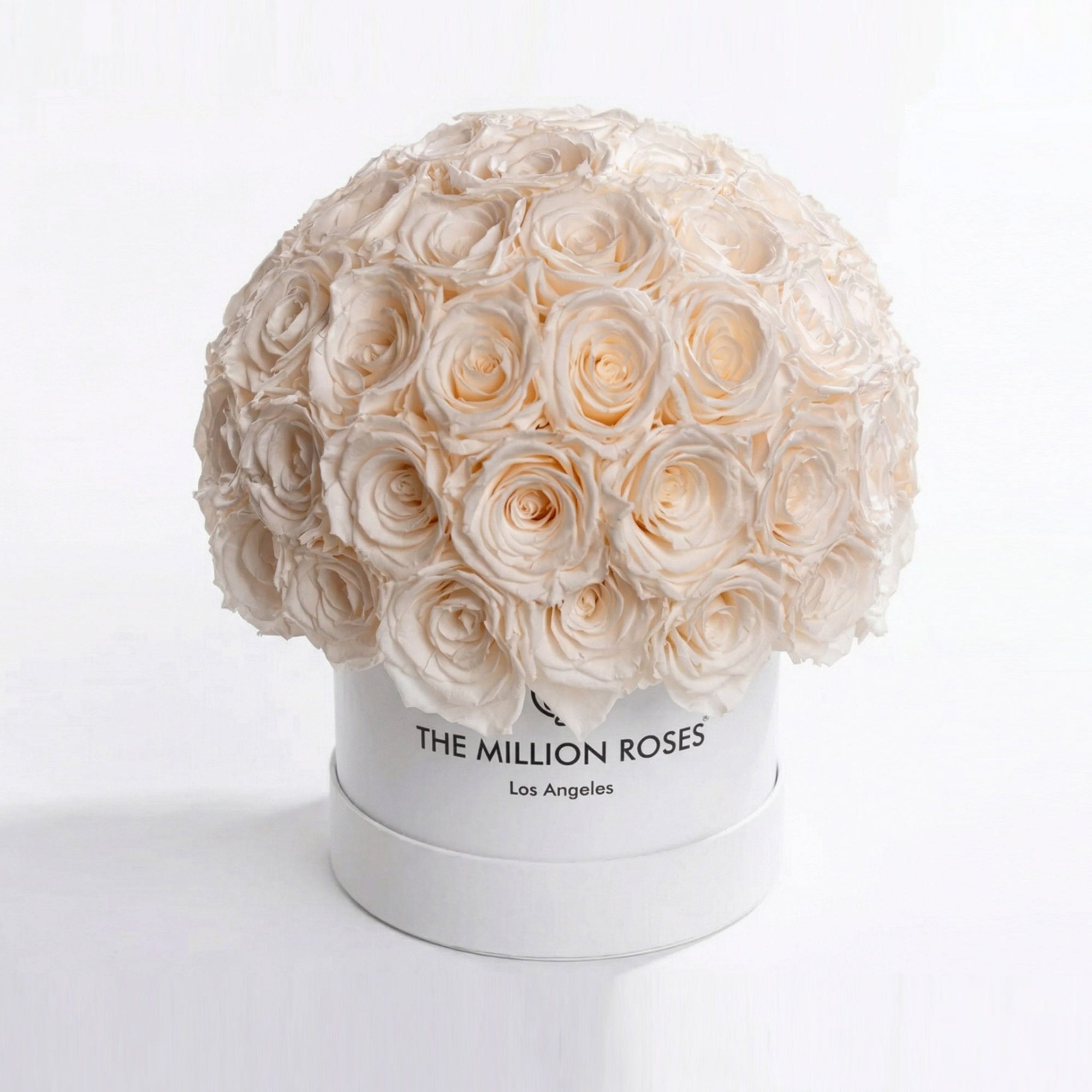 Classic White Superdome Box by The Million Roses - main product image for Resin Society