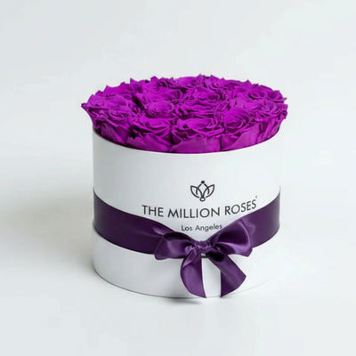 Classic White Box with Bright Purple Roses showing a square white box filled with vibrant purple roses