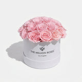 Classic White Dome Box with light pink roses arranged inside a white dome container