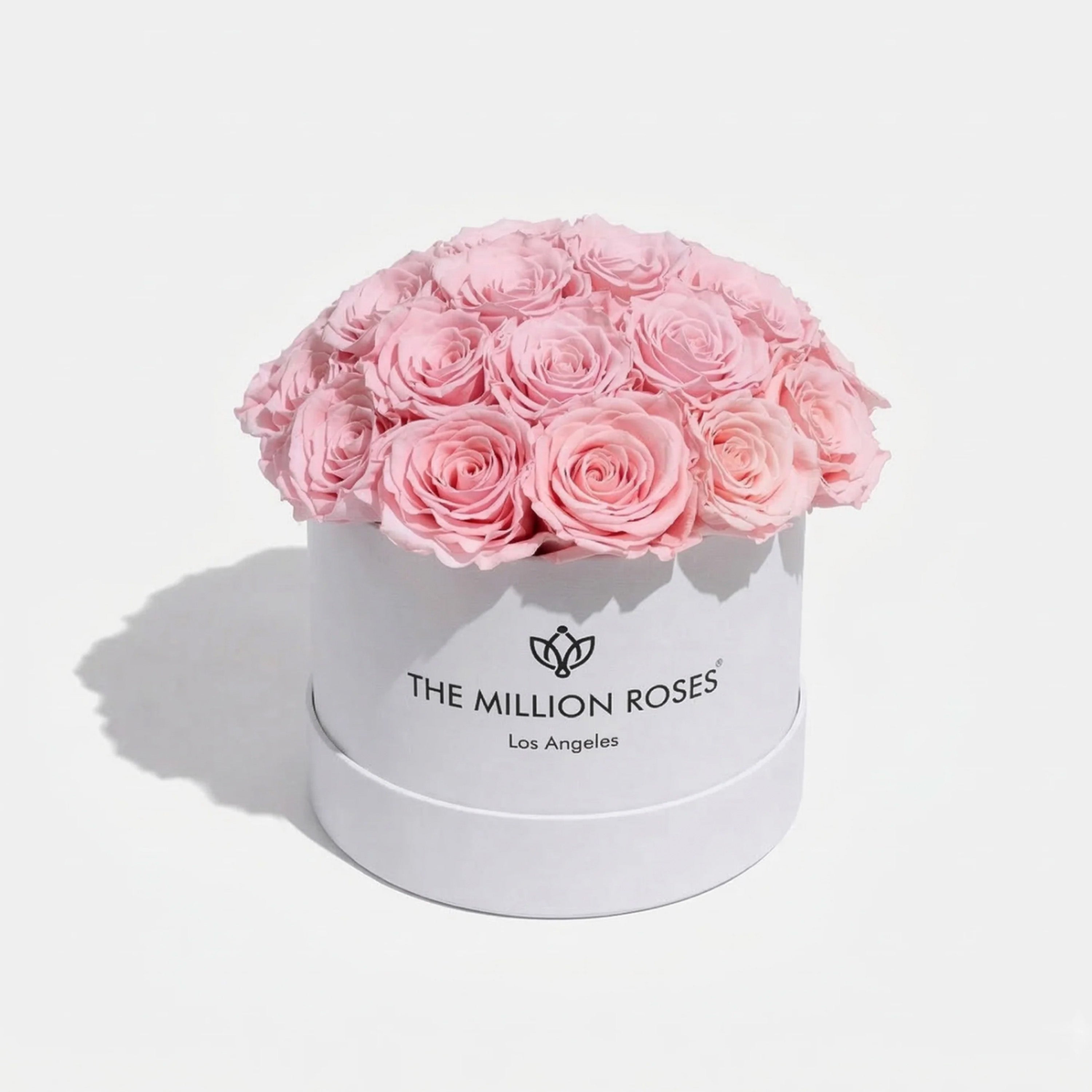 Classic White Dome Box with light pink roses arranged inside a white dome container