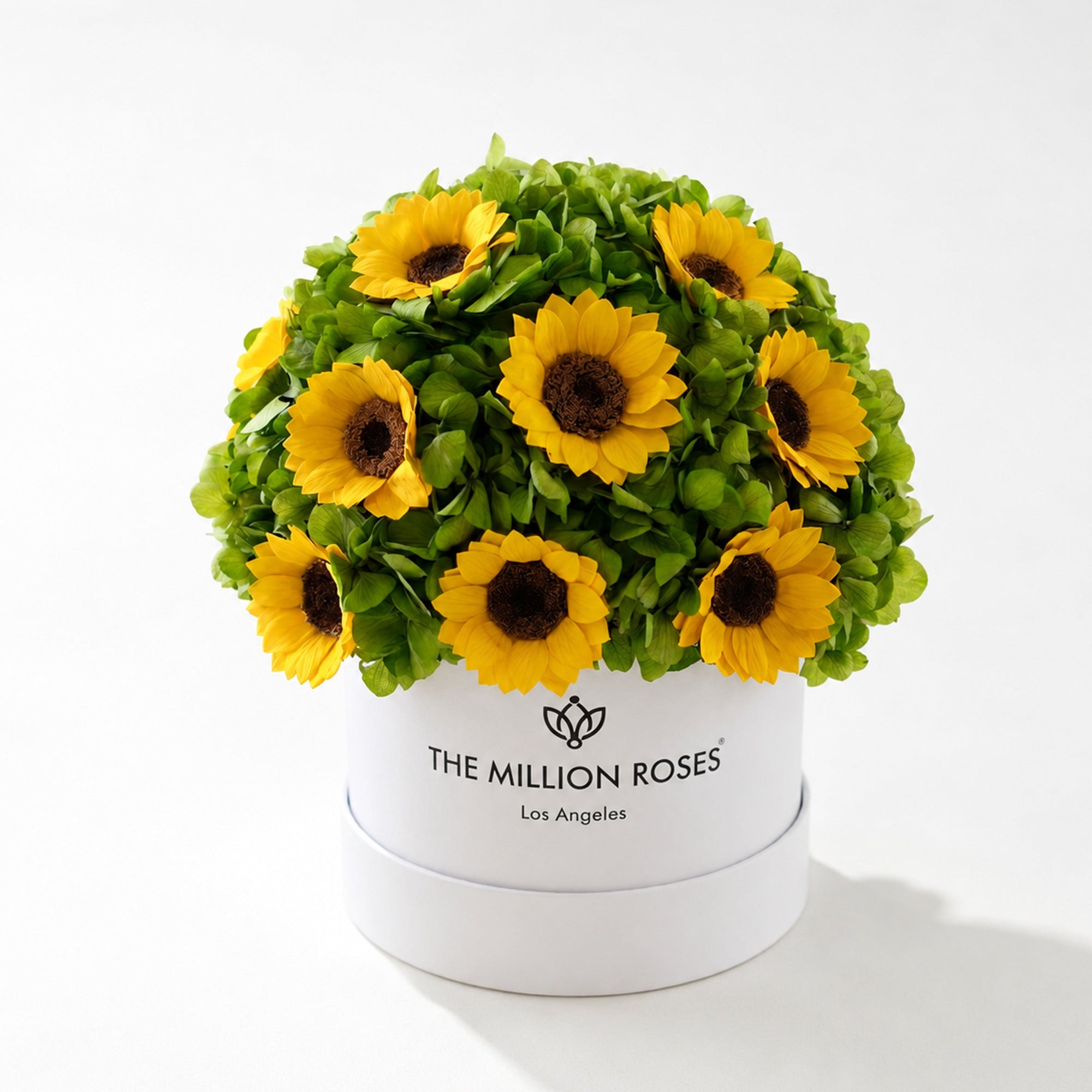 Classic White Box by The Million Roses - main product image for Resin Society