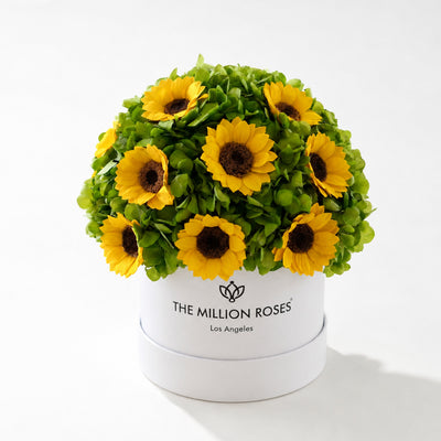 Classic White Box by The Million Roses - main product image for Resin Society