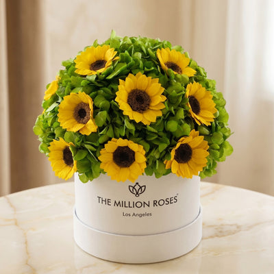 Classic White Box by The Million Roses - product image 2 for Resin Society