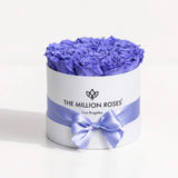 Classic White Box containing 14-15 violet roses in a square white box from The Million Roses