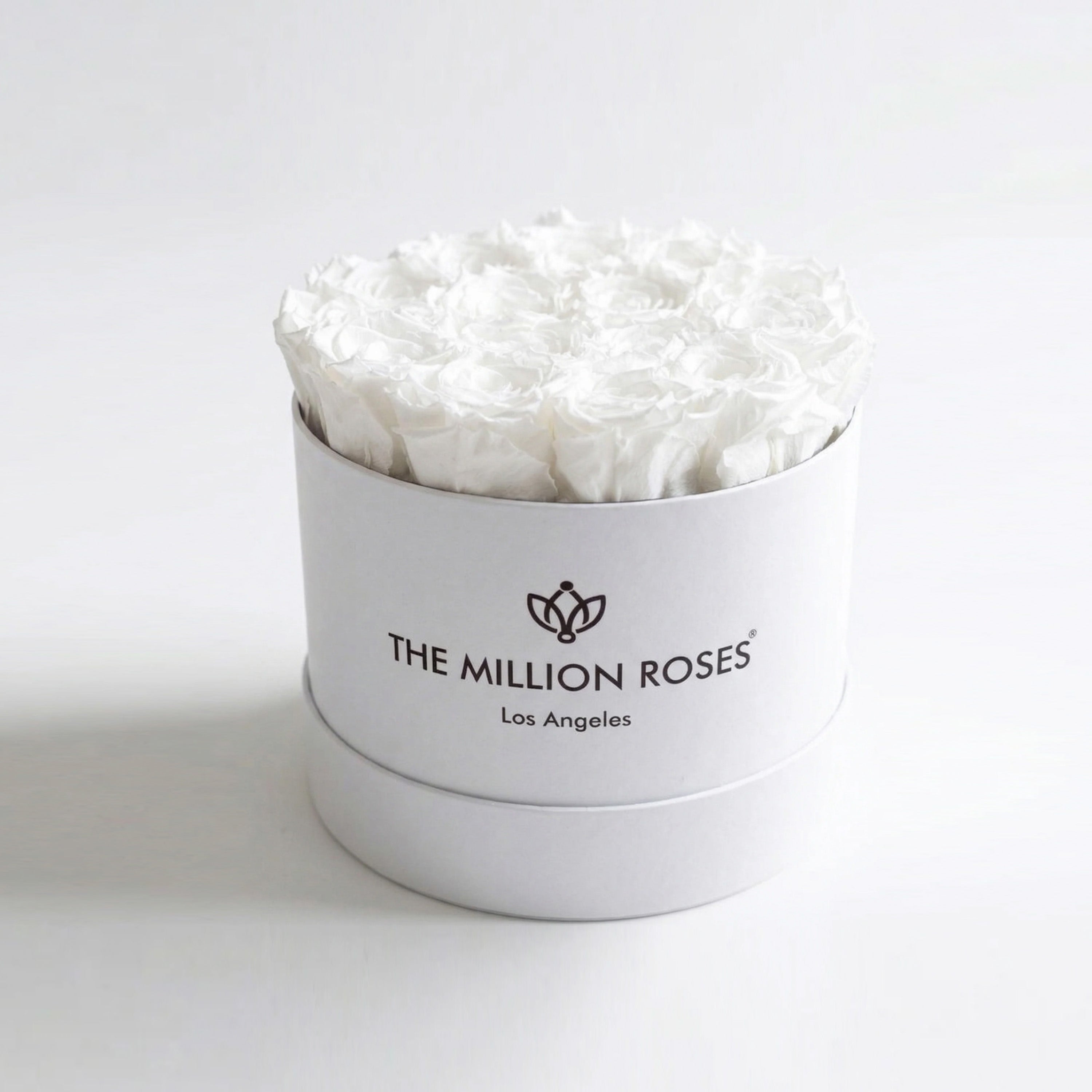 Classic White Box filled with 14-15 white preserved roses arranged neatly inside a white square box.