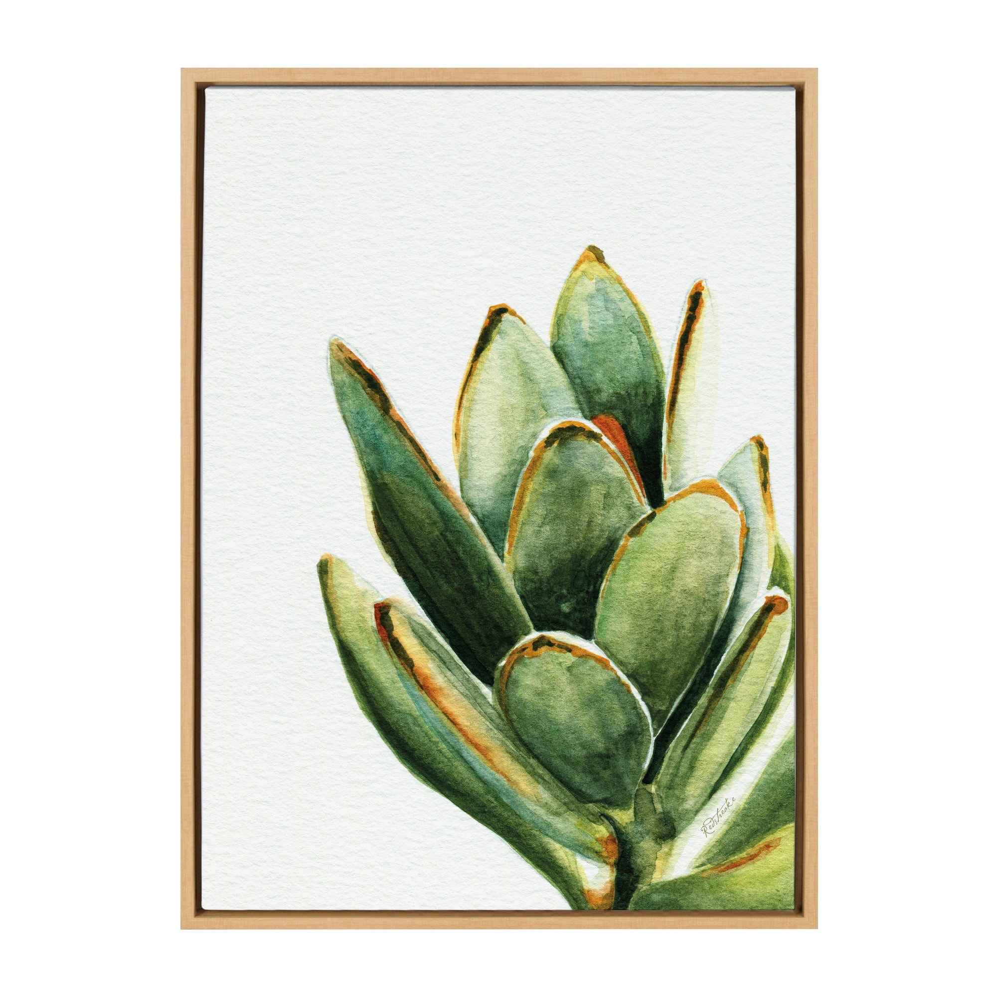 Sylvie Succulent 18 Framed Canvas by kateandlaurel - main product image for Resin Society