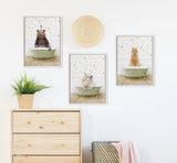 Three framed animal illustrations of a bear, two polar bears, and a poodle in green bathtubs with floral wallpaper, arranged above a wooden dresser and plant.