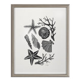 Blake Seashells Black Framed Printed Glass by Cat Coquillette by kateandlaurel - product image 2 for Resin Society