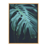 Sylvie Tropical Frond Framed Canvas by kateandlaurel - product image 9 for Resin Society