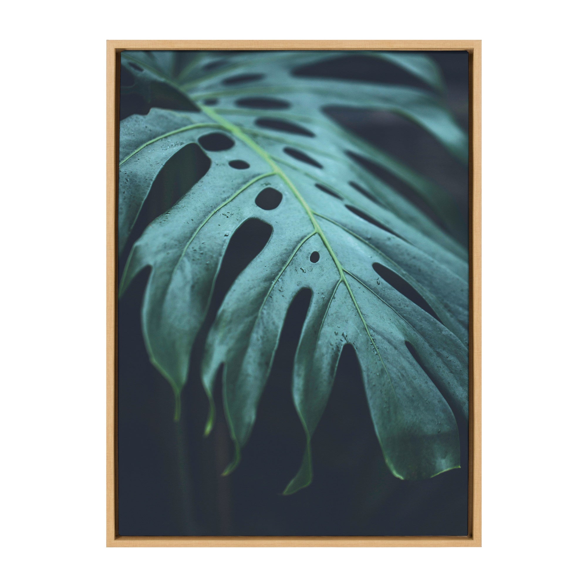 Sylvie Tropical Frond Framed Canvas by kateandlaurel - product image 9 for Resin Society