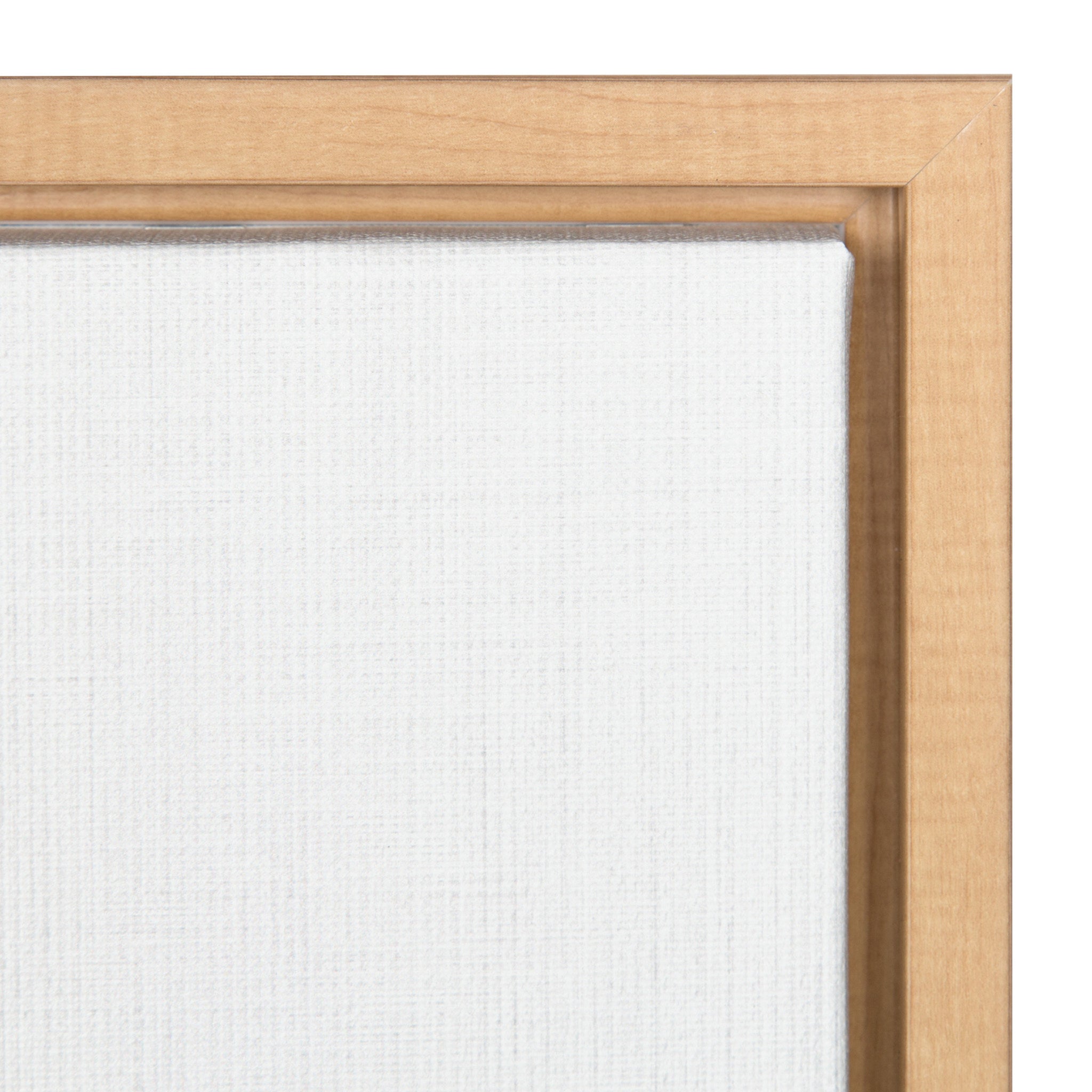 Sylvie Prickly Pear Framed Canvas by Simon Te Tai by kateandlaurel - product image 3 for Resin Society