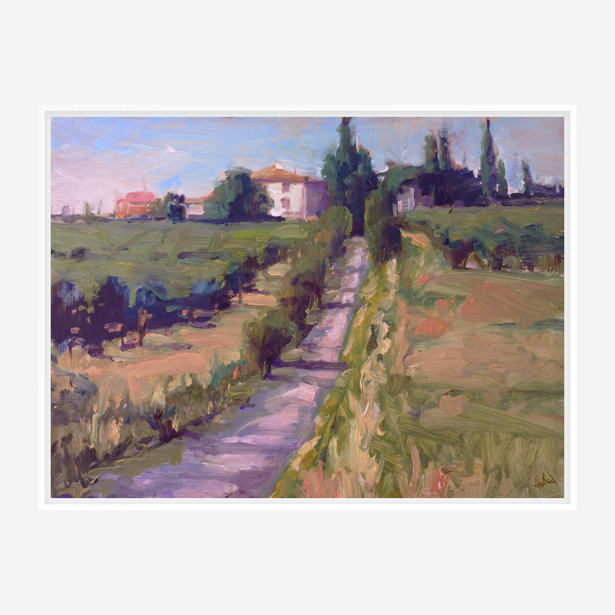 Country Vineyard Artist Enhanced Canvas Print
