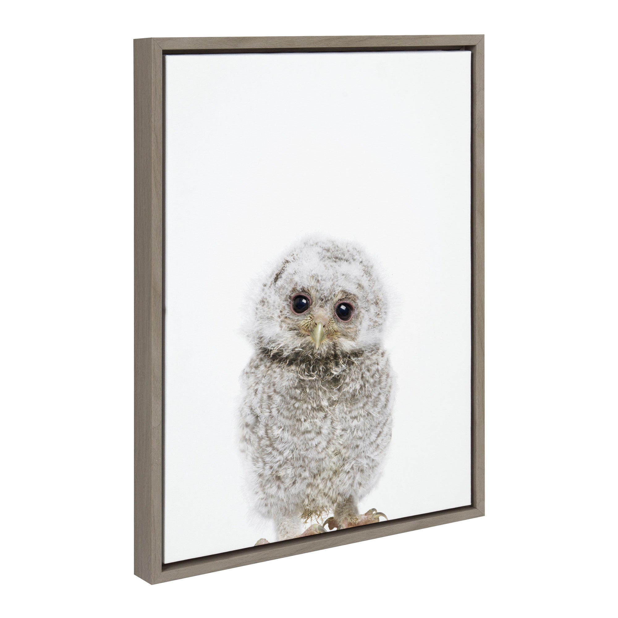 Framed canvas art titled Sylvie Animal Studio Owl showing a stylized owl against a soft-toned background
