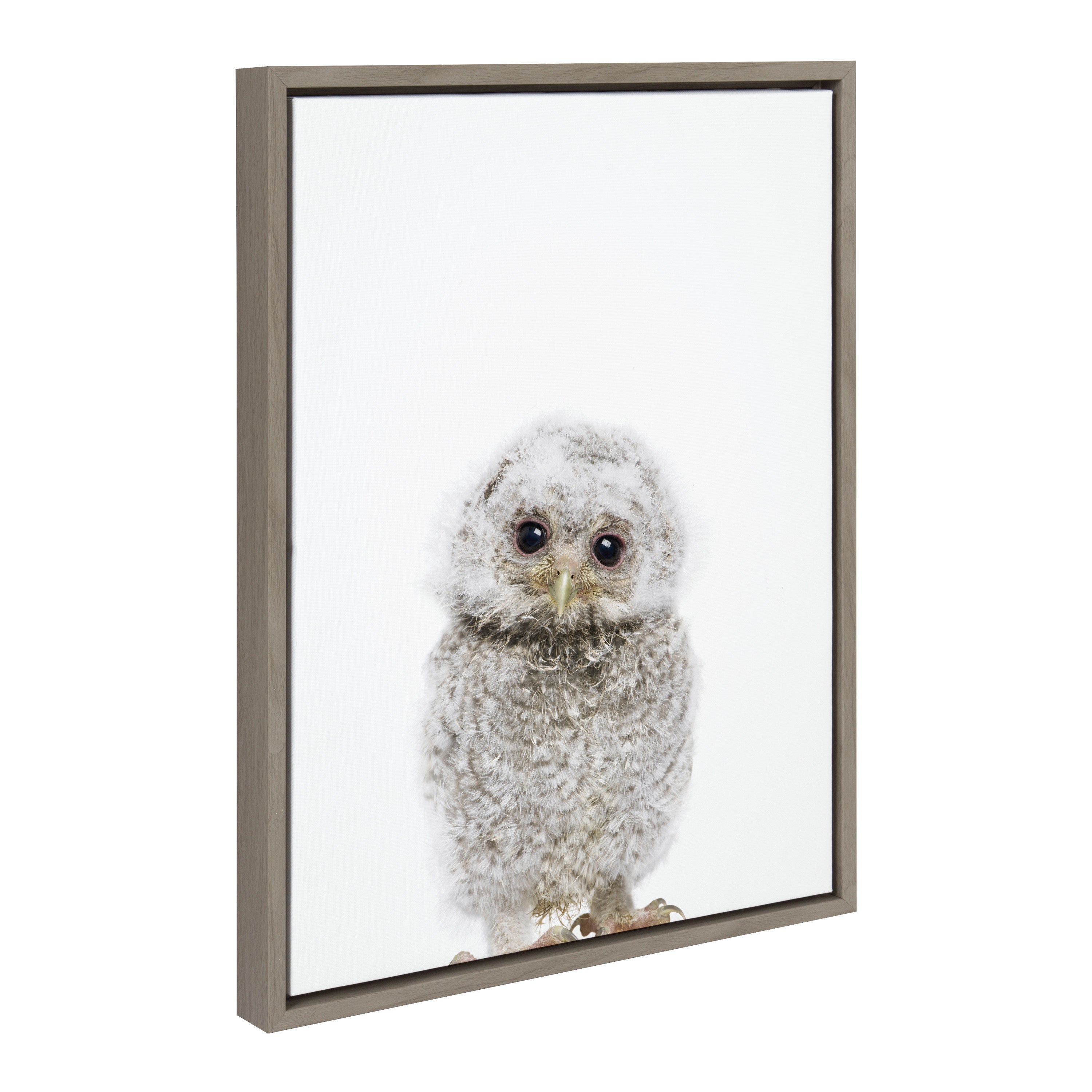 Framed canvas art titled Sylvie Animal Studio Owl showing a stylized owl against a soft-toned background