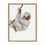 Framed canvas art of a baby sloth with detailed fur hanging from a branch against a plain white background.