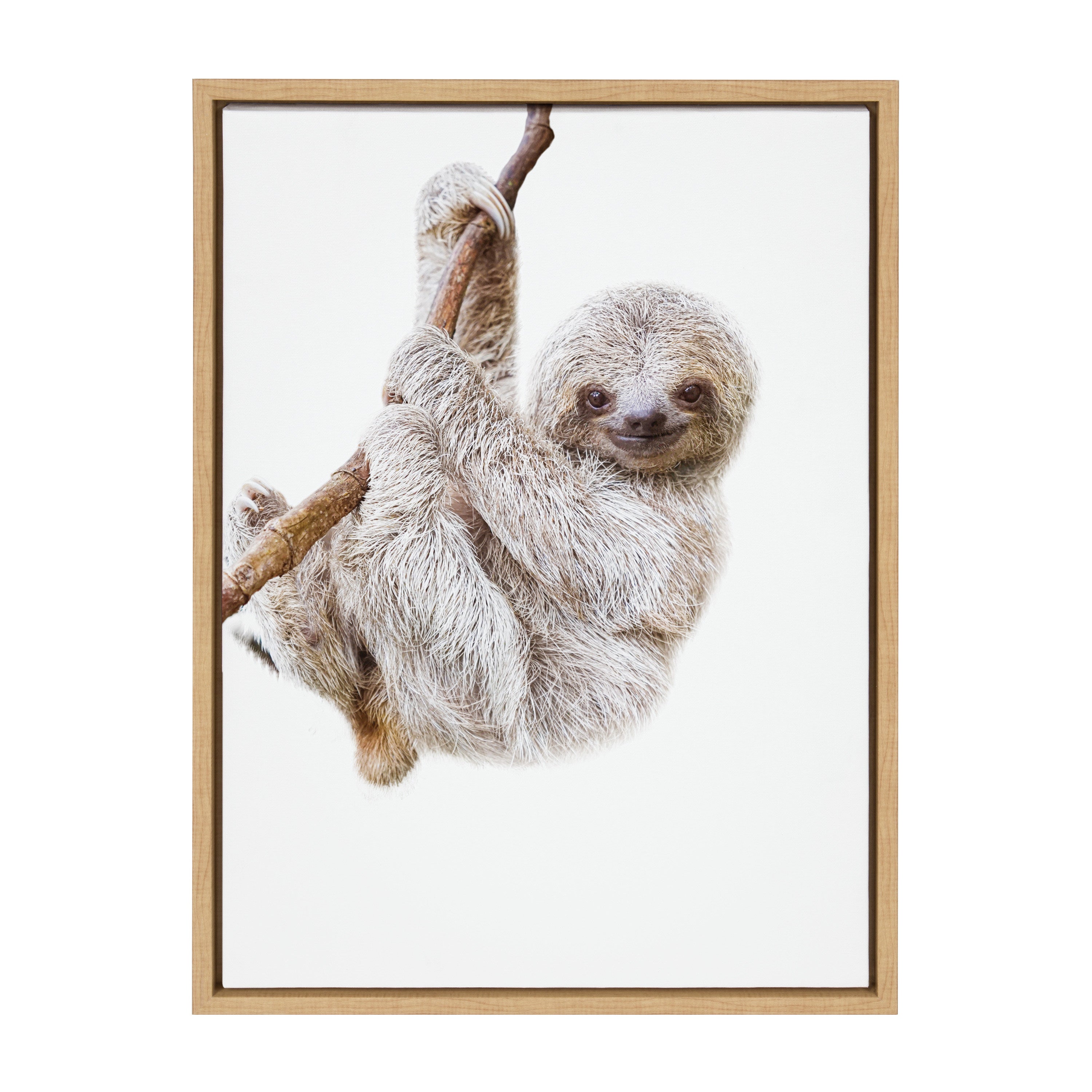 Sylvie Baby Sloth Hanging Around Framed Canvas by Amy Peterson Art Studio