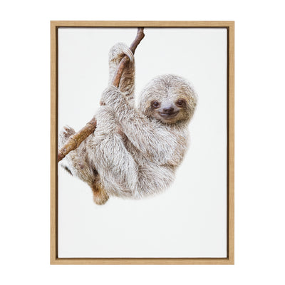 Sylvie Baby Sloth Hanging Around Framed Canvas by Amy Peterson Art Studio