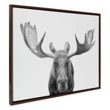 Black and white close-up of a moose facing forward with wide antlers, framed in dark wood against a white background.