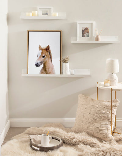 Sylvie Animal Studio Baby Horse Framed Canvas by Amy Peterson Art Studio