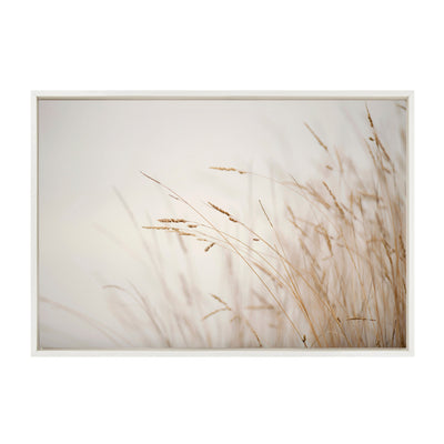 Sylvie Marsh Grass No 1 Framed Canvas by Crystal Lynn Collins