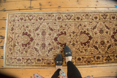 2.5x10 New Egyptian Rug Runner