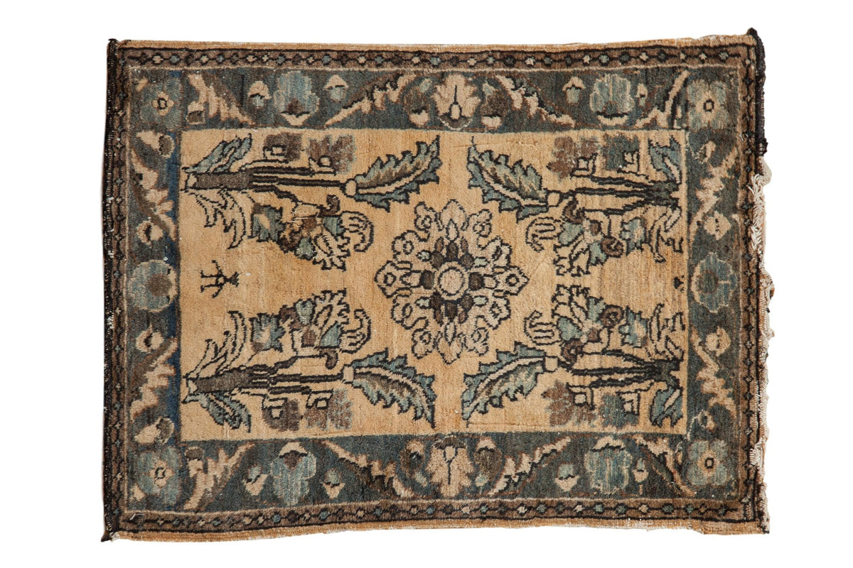 2x3 Vintage Fine Distressed Lilihan Rug Mat with central floral medallion and subtle distressed edges