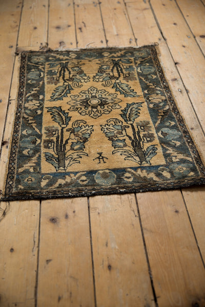 2x3 Vintage Fine Distressed Lilihan Rug Mat