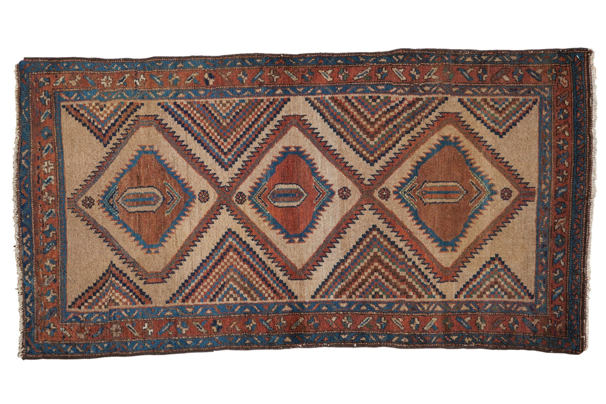 3x6 Antique Camel Hair Serab Rug Runner by Old New House® - main product image for Resin Society