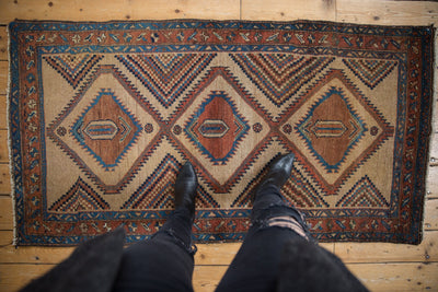 3x6 Antique Camel Hair Serab Rug Runner by Old New House® - product image 2 for Resin Society