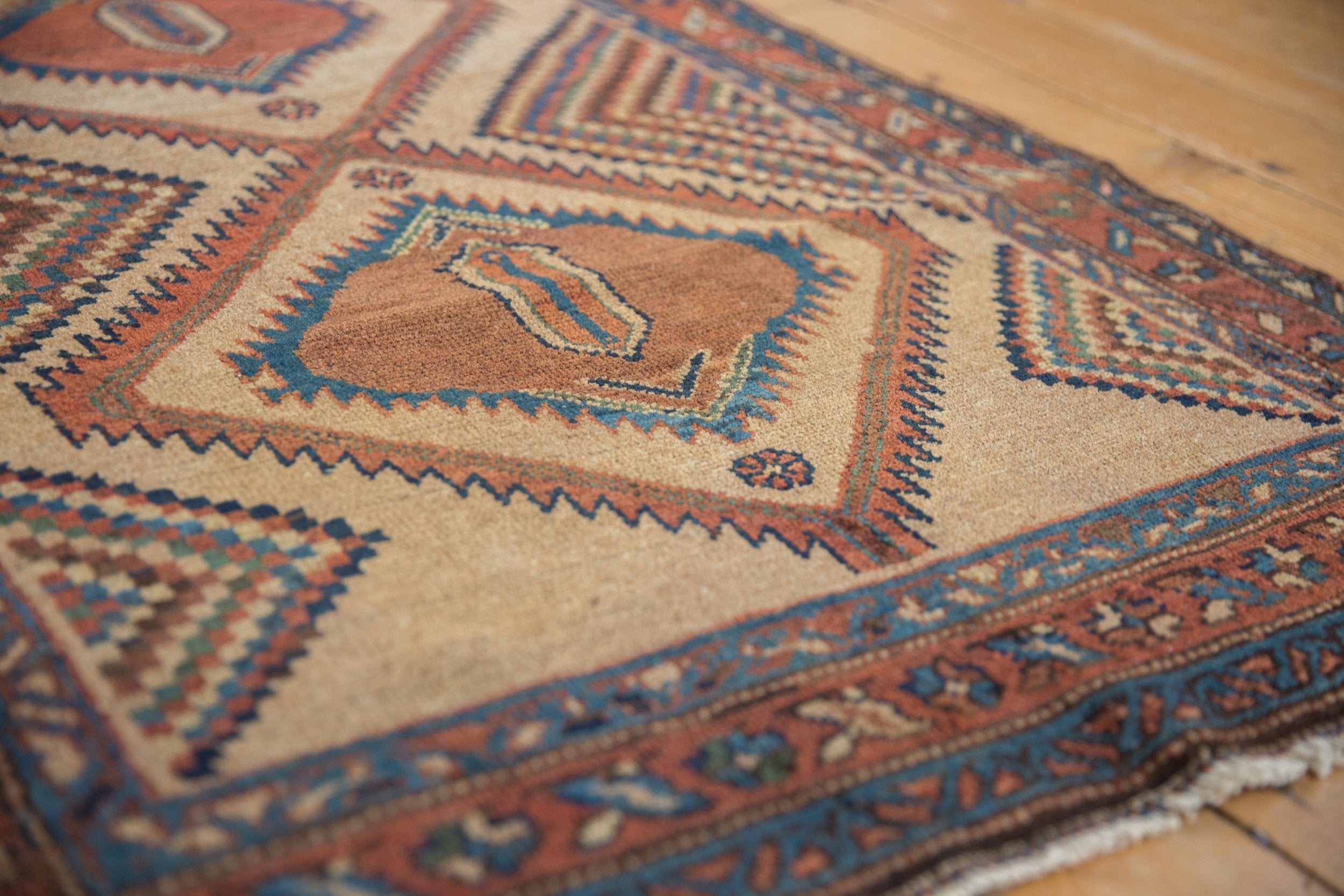 3x6 Antique Camel Hair Serab Rug Runner by Old New House® - product image 4 for Resin Society